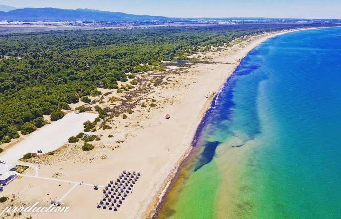 Καλόγρια: Η εξωτική παραλία της Αχαΐας με την απέραντη χρυσή αμμουδιά