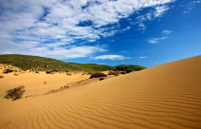 Αμμοθίνες Λήμνου: Μια «μικρή Σαχάρα» στο Αιγαίο