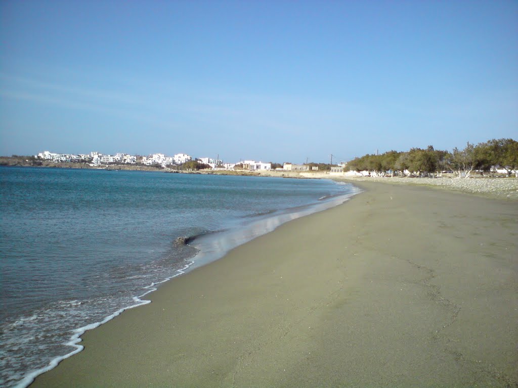travelgo image