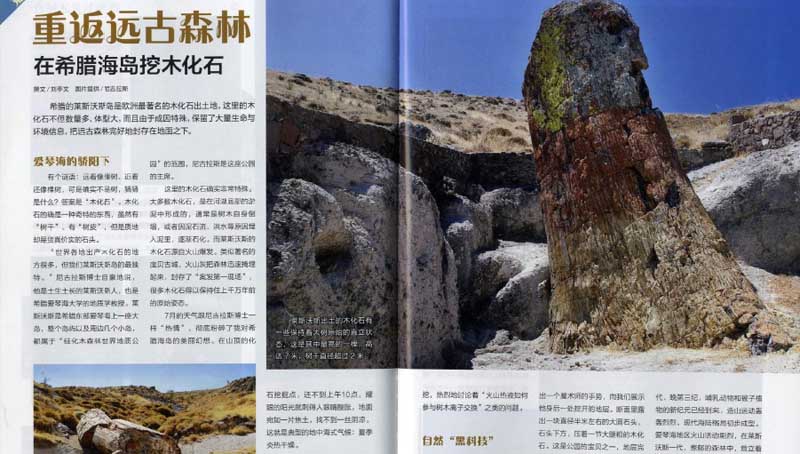 travelgo image