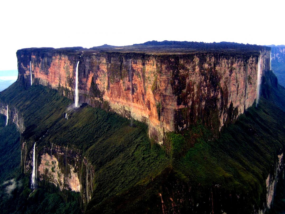 travelgo image