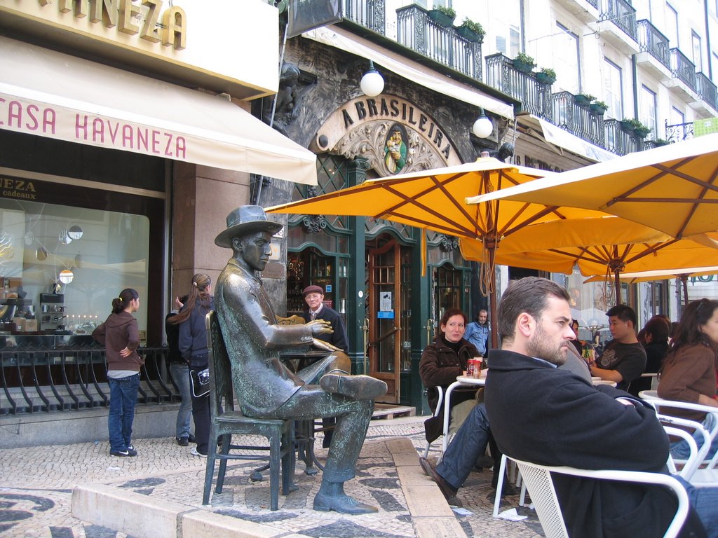 travelgo image