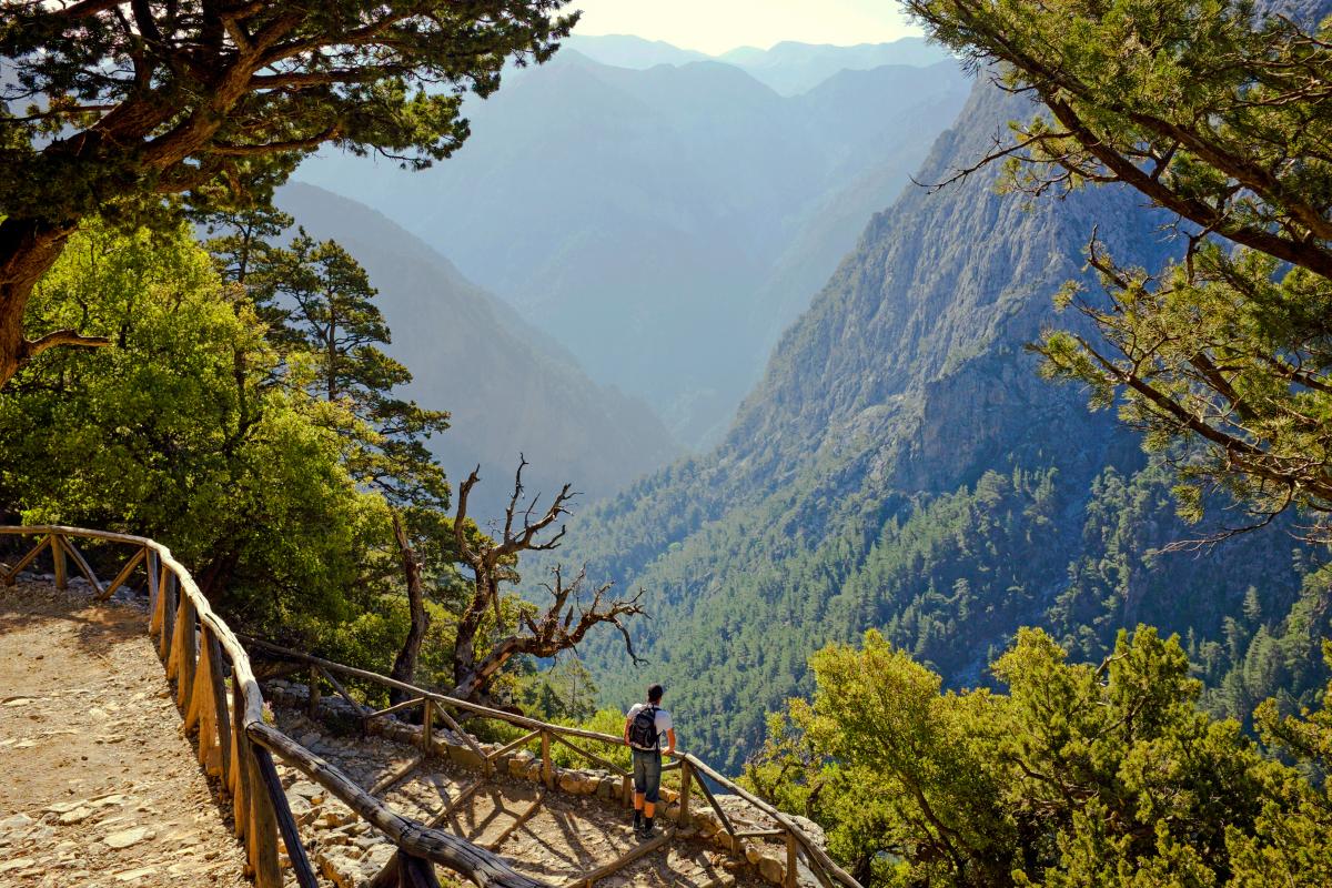 travelgo image
