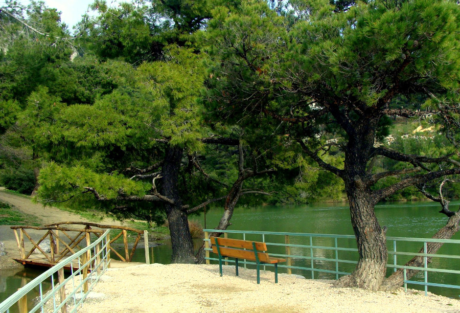 travelgo image