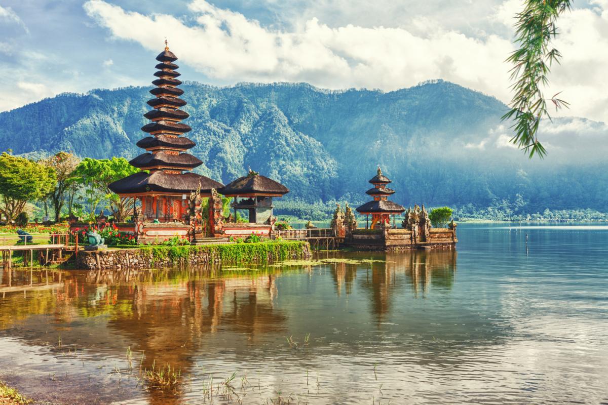 travelgo image