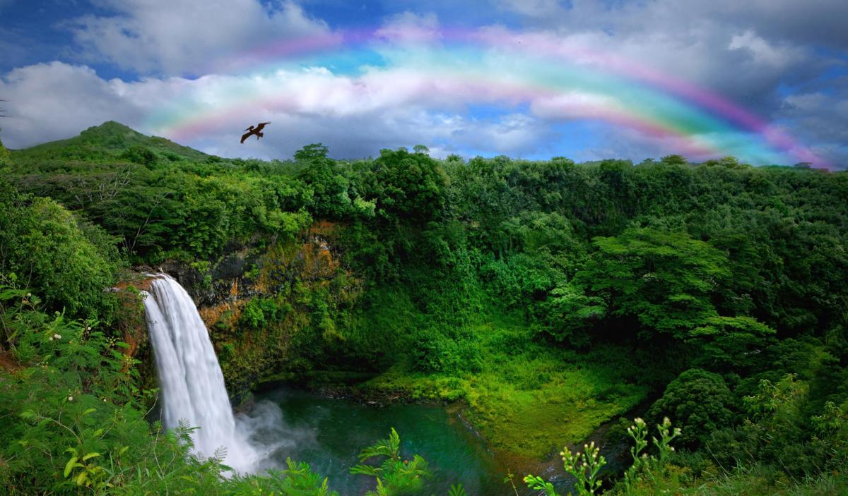 travelgo image