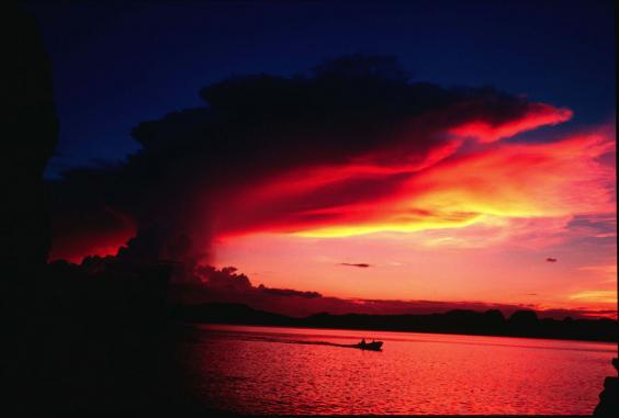 travelgo image