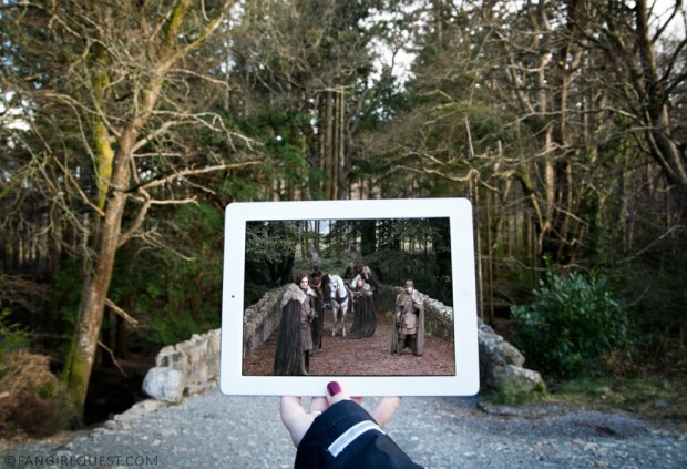 travelgo image