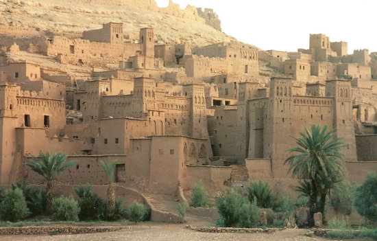 travelgo image