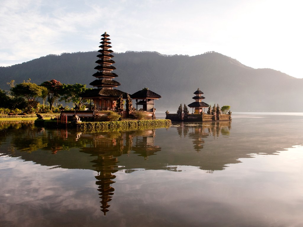 travelgo image