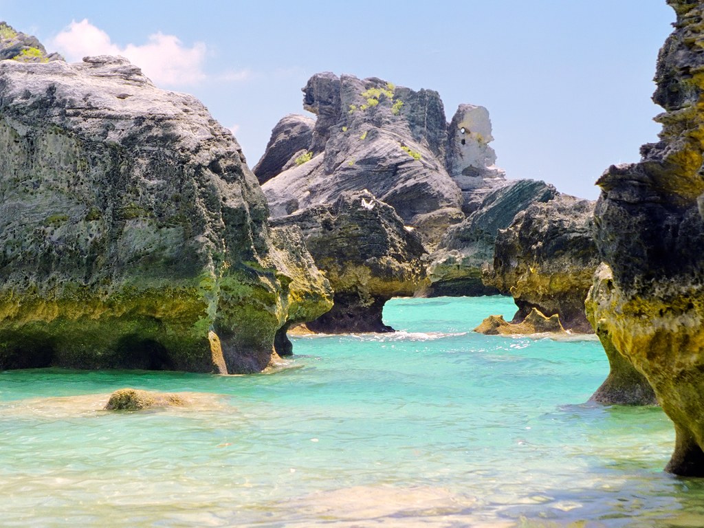 travelgo image