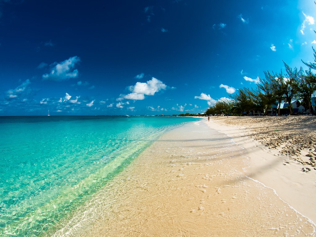travelgo image