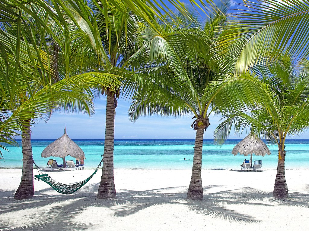 travelgo image