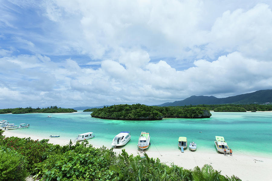 travelgo image