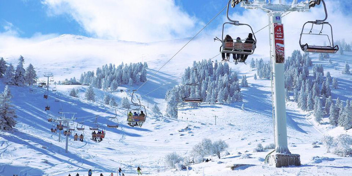 travelgo image