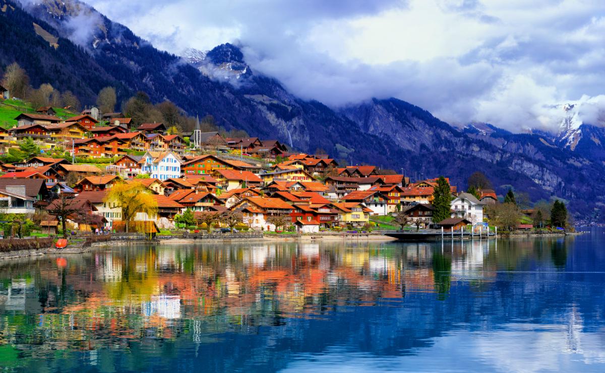 travelgo image