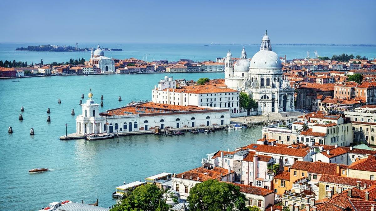 travelgo image