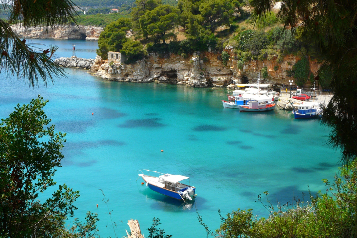travelgo image