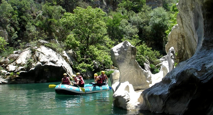 travelgo image