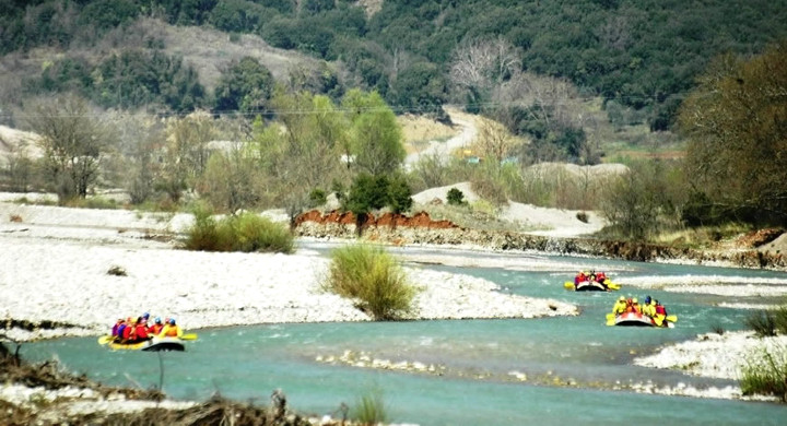 travelgo image