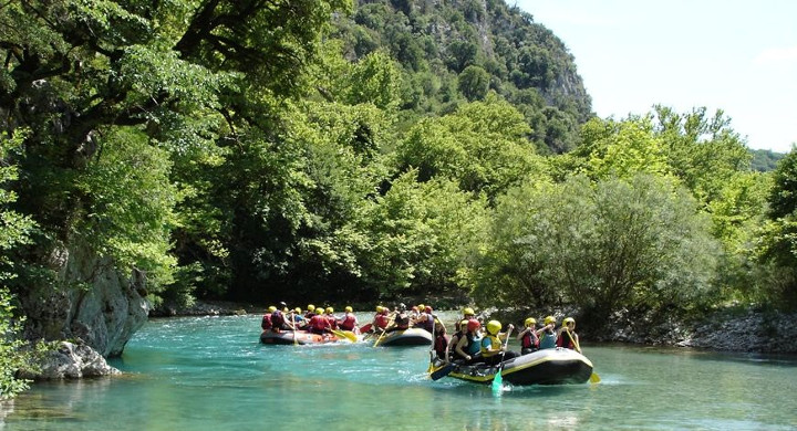 travelgo image