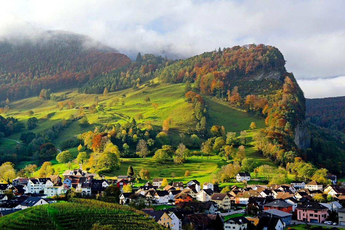 travelgo image