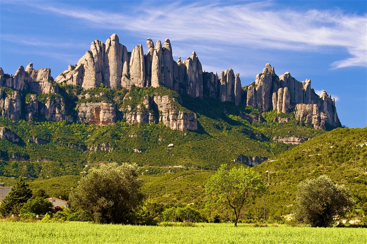 travelgo image