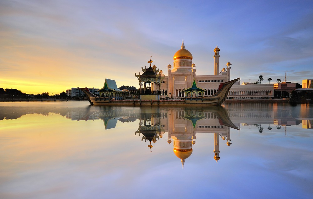 travelgo image