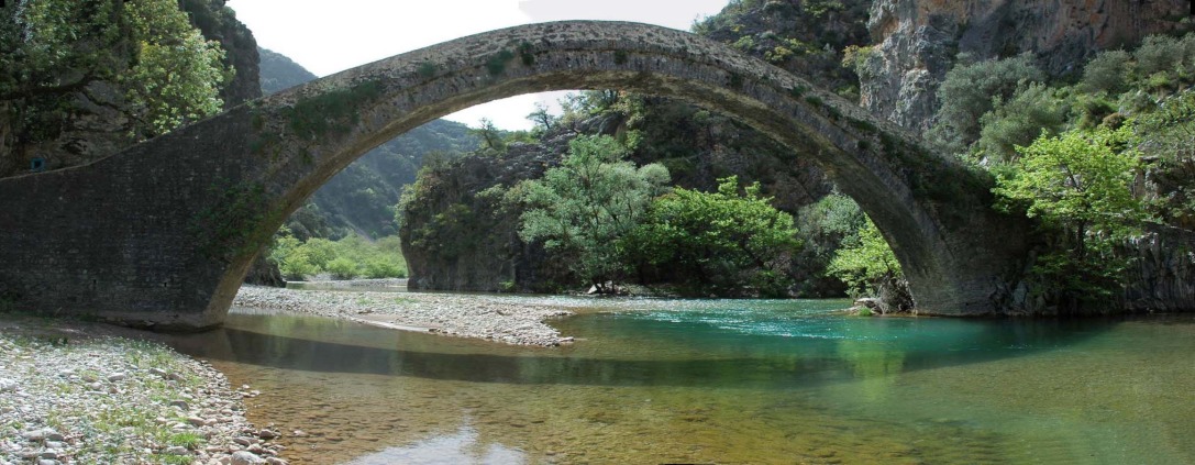 travelgo image
