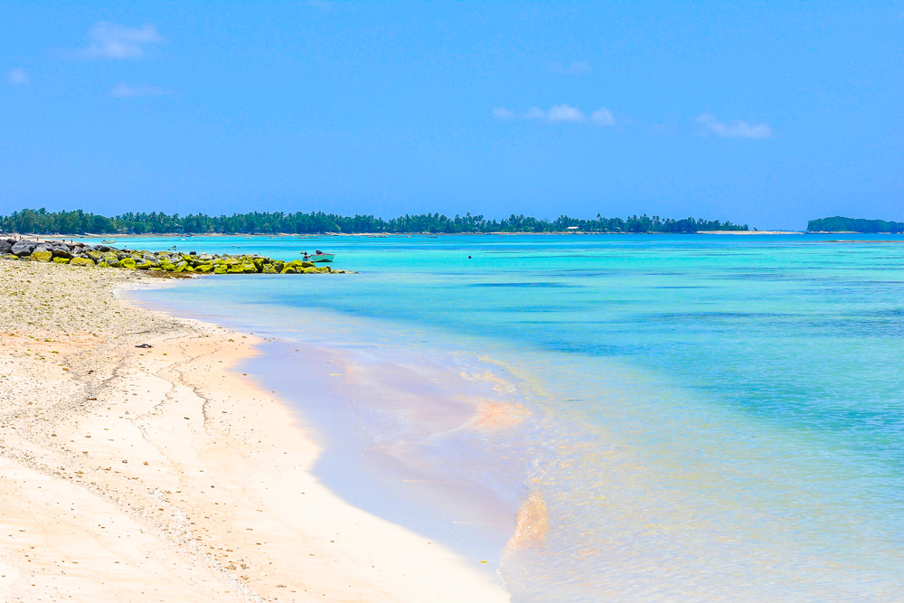 travelgo image