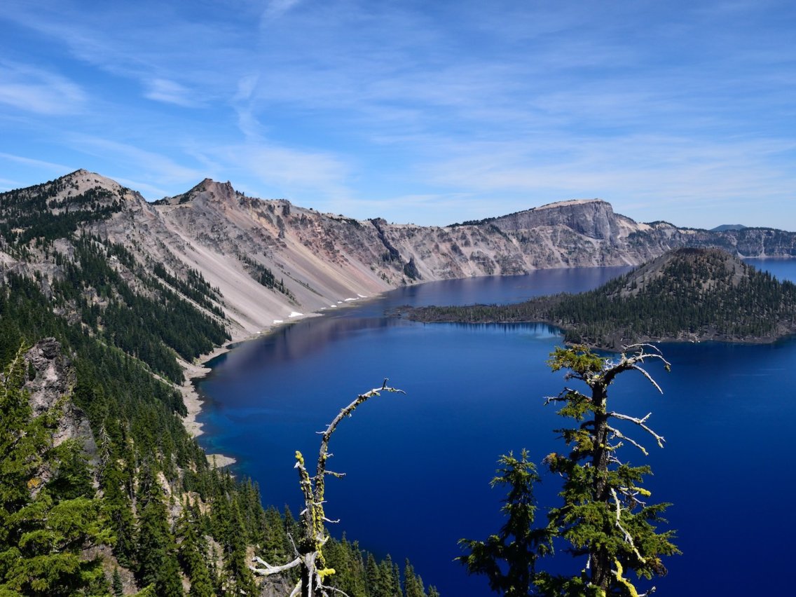 travelgo image