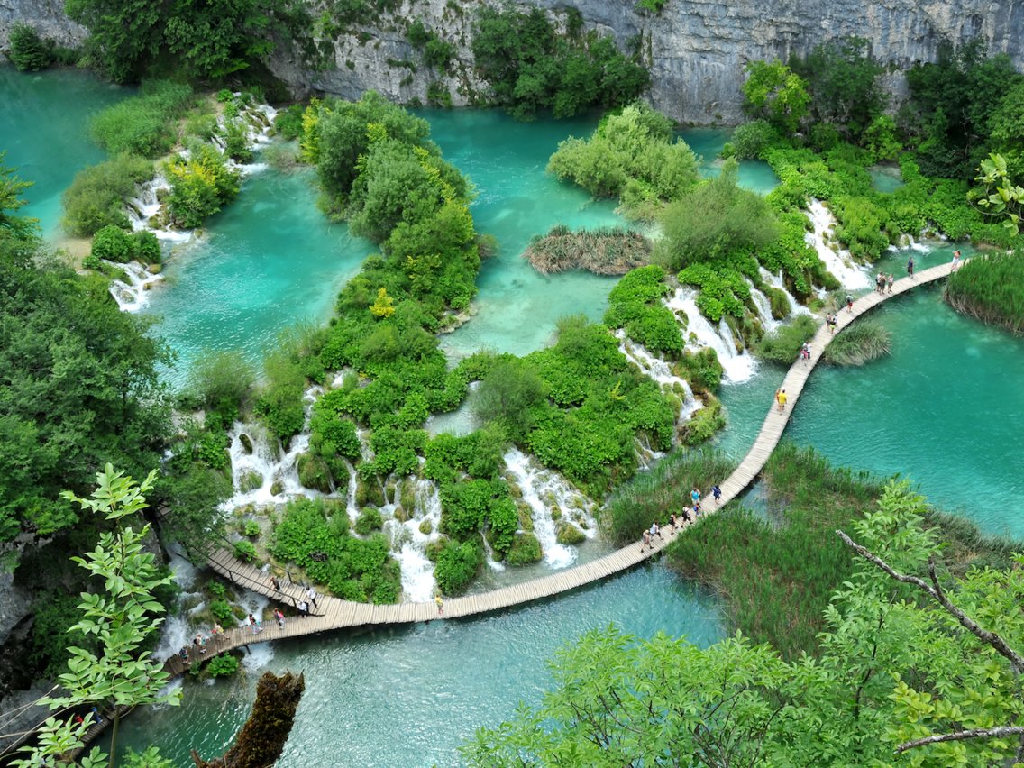 travelgo image