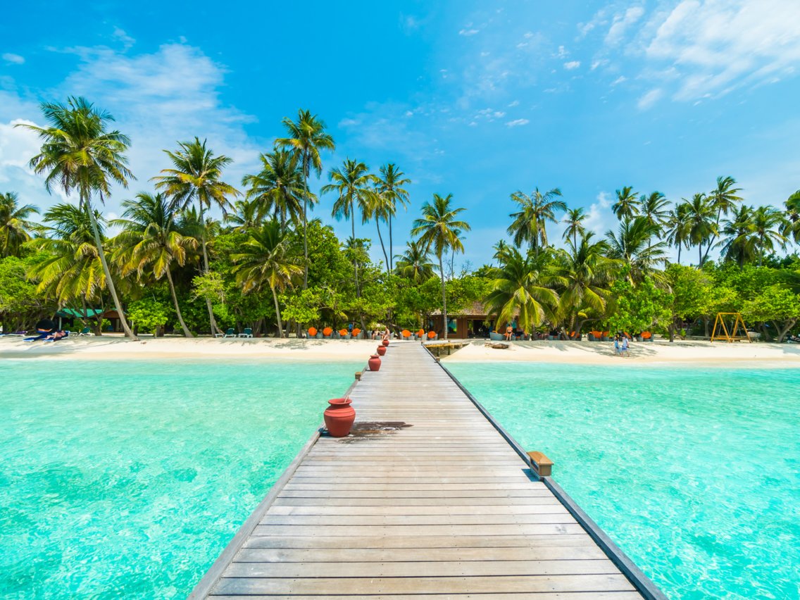 travelgo image