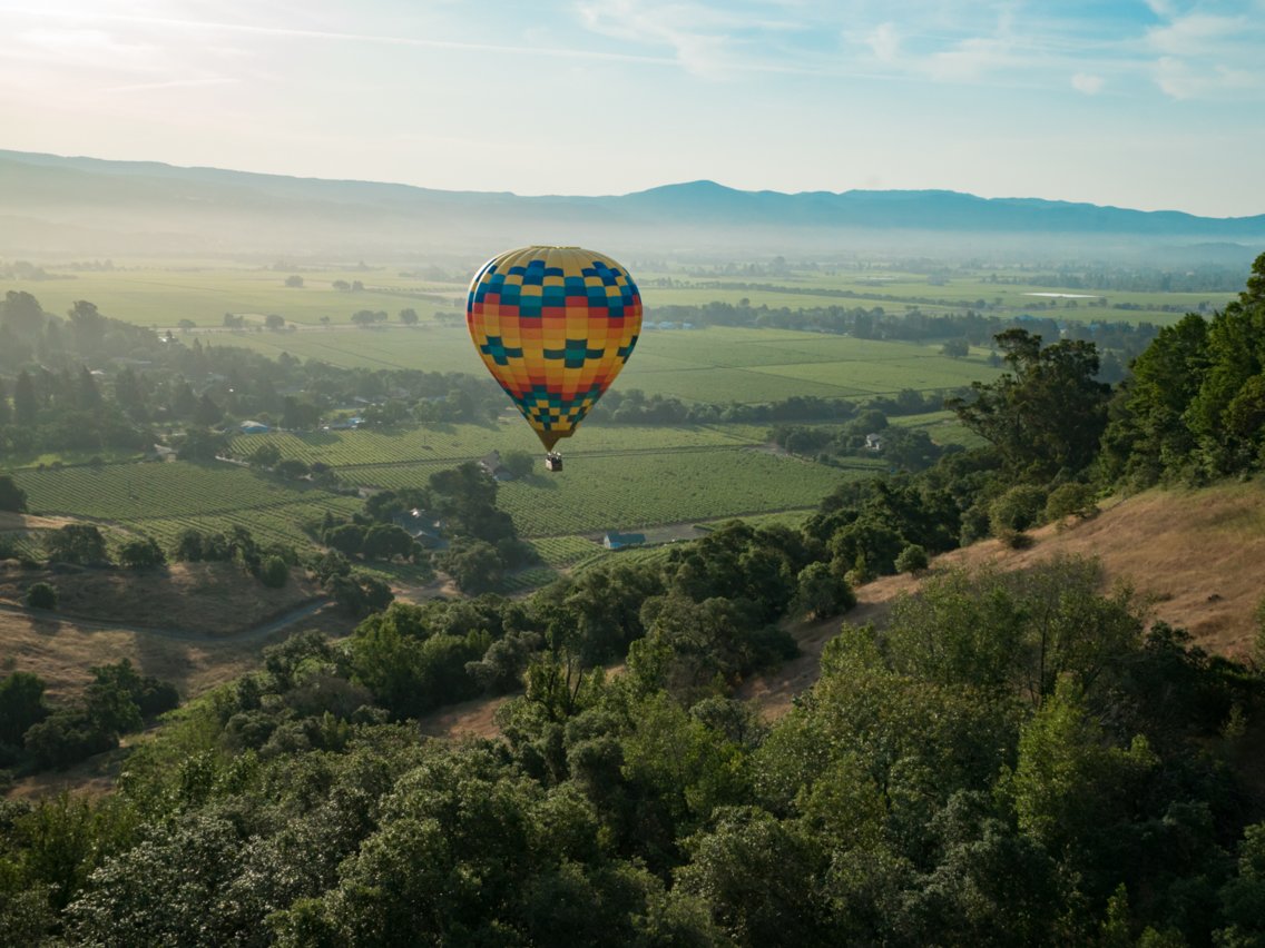 travelgo image