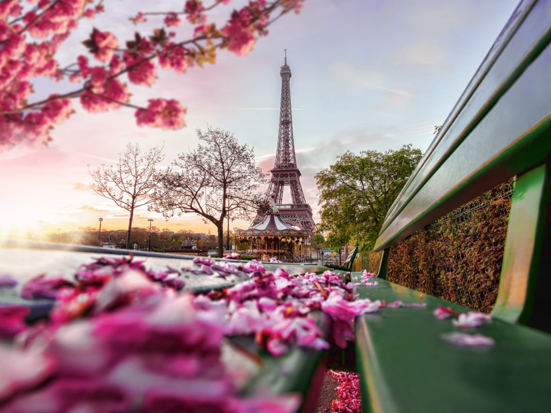 travelgo image