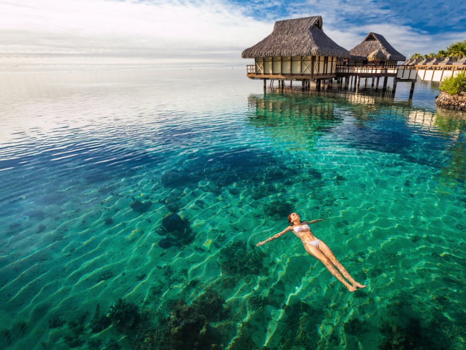 travelgo image