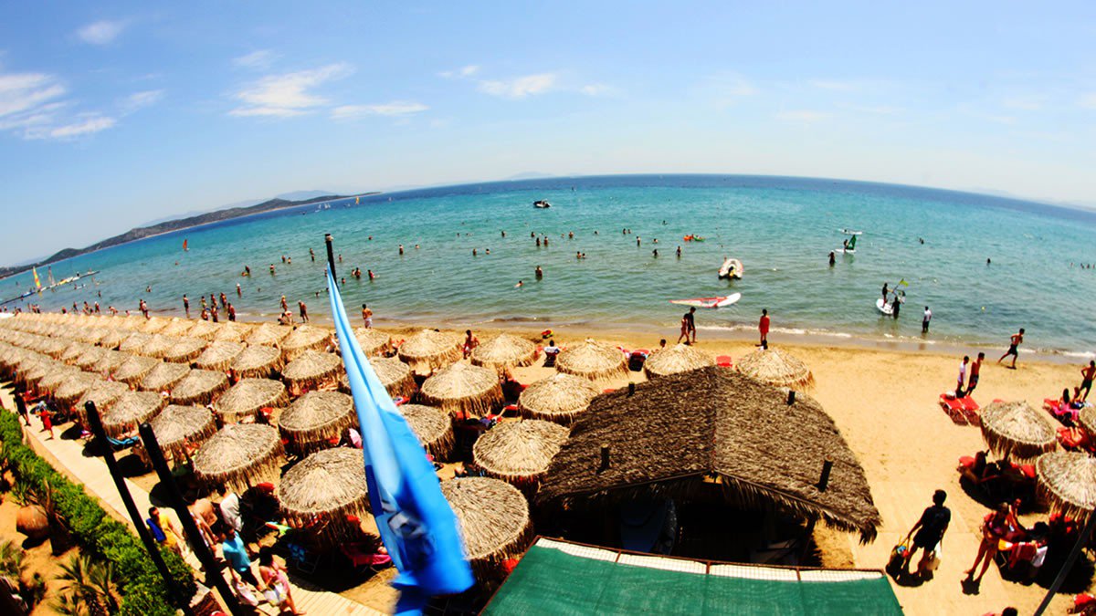 travelgo image