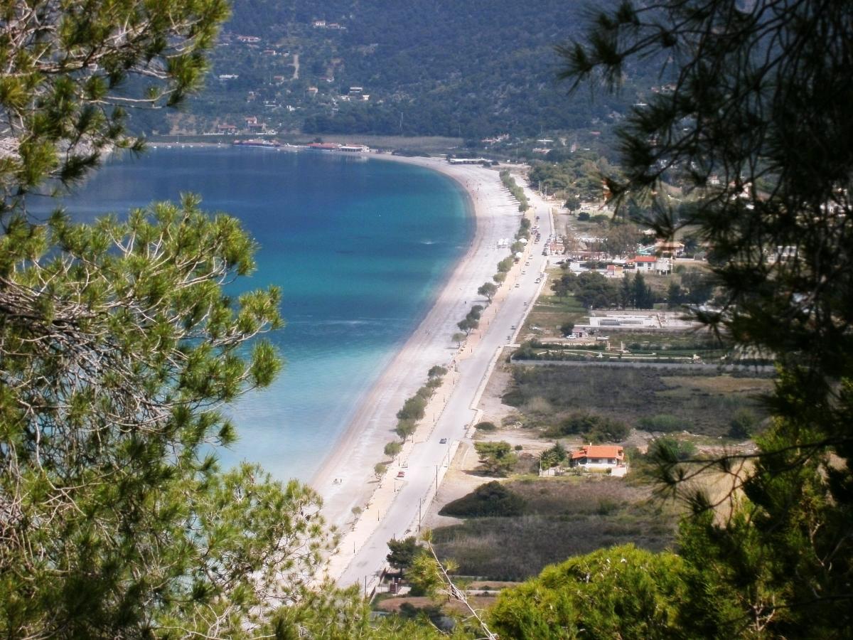 travelgo image