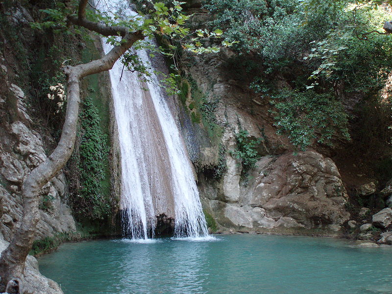 travelgo image