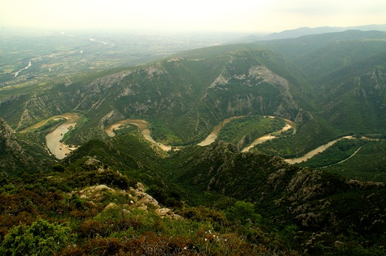 travelgo image