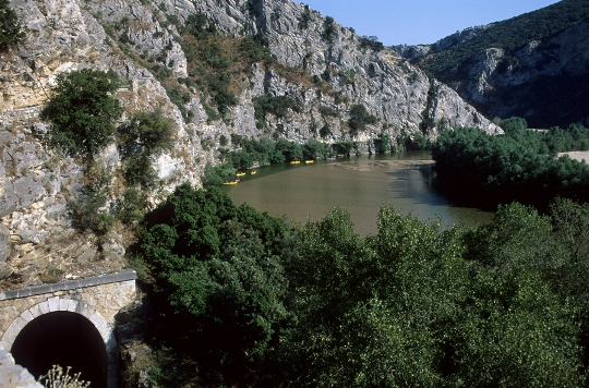 travelgo image