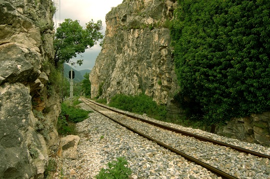 travelgo image