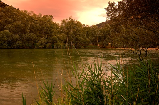 travelgo image