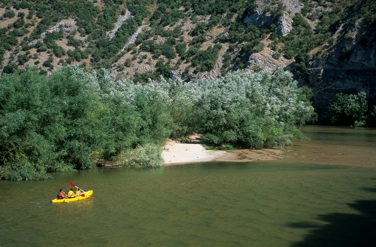 travelgo image