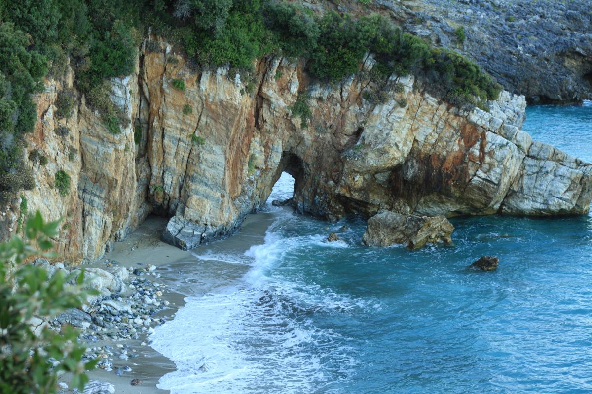travelgo image