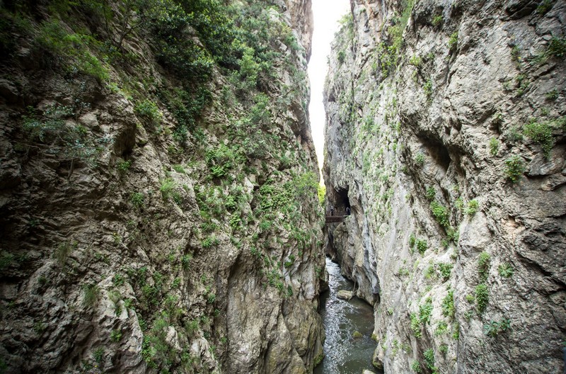 travelgo image