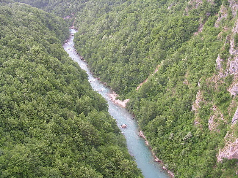 travelgo image