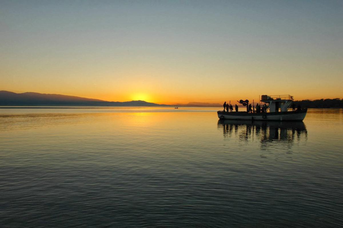 travelgo image