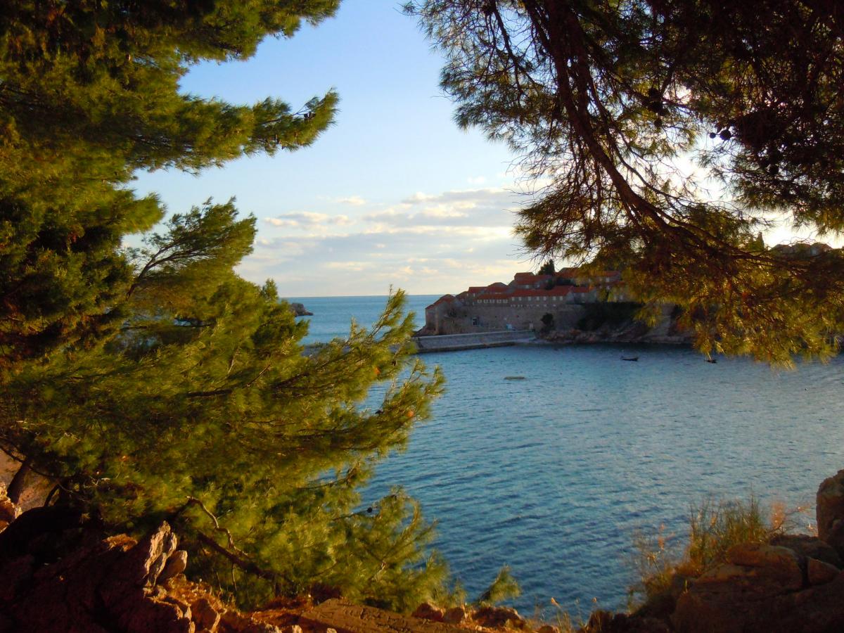 travelgo image