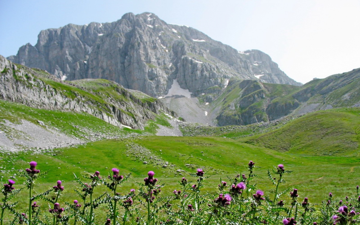 travelgo image